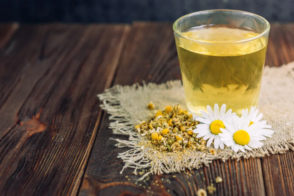 Chamomile how it can be an effective method against mosquito