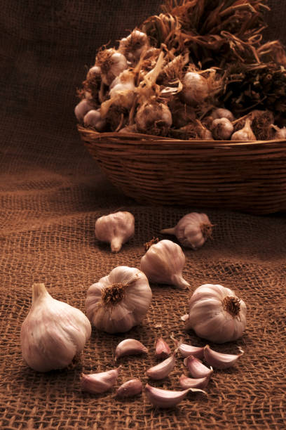 garlic as a home remedy for uti