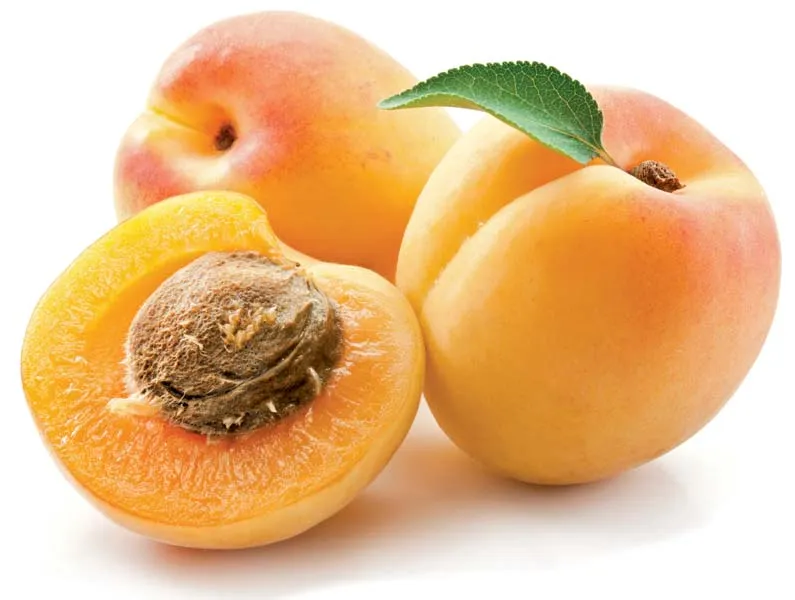 dried apricot which are used as a evening snack
